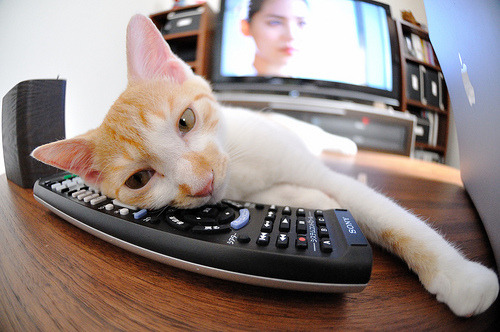 草皮绽放，中后卫阿圭罗的世界排名绝杀夜