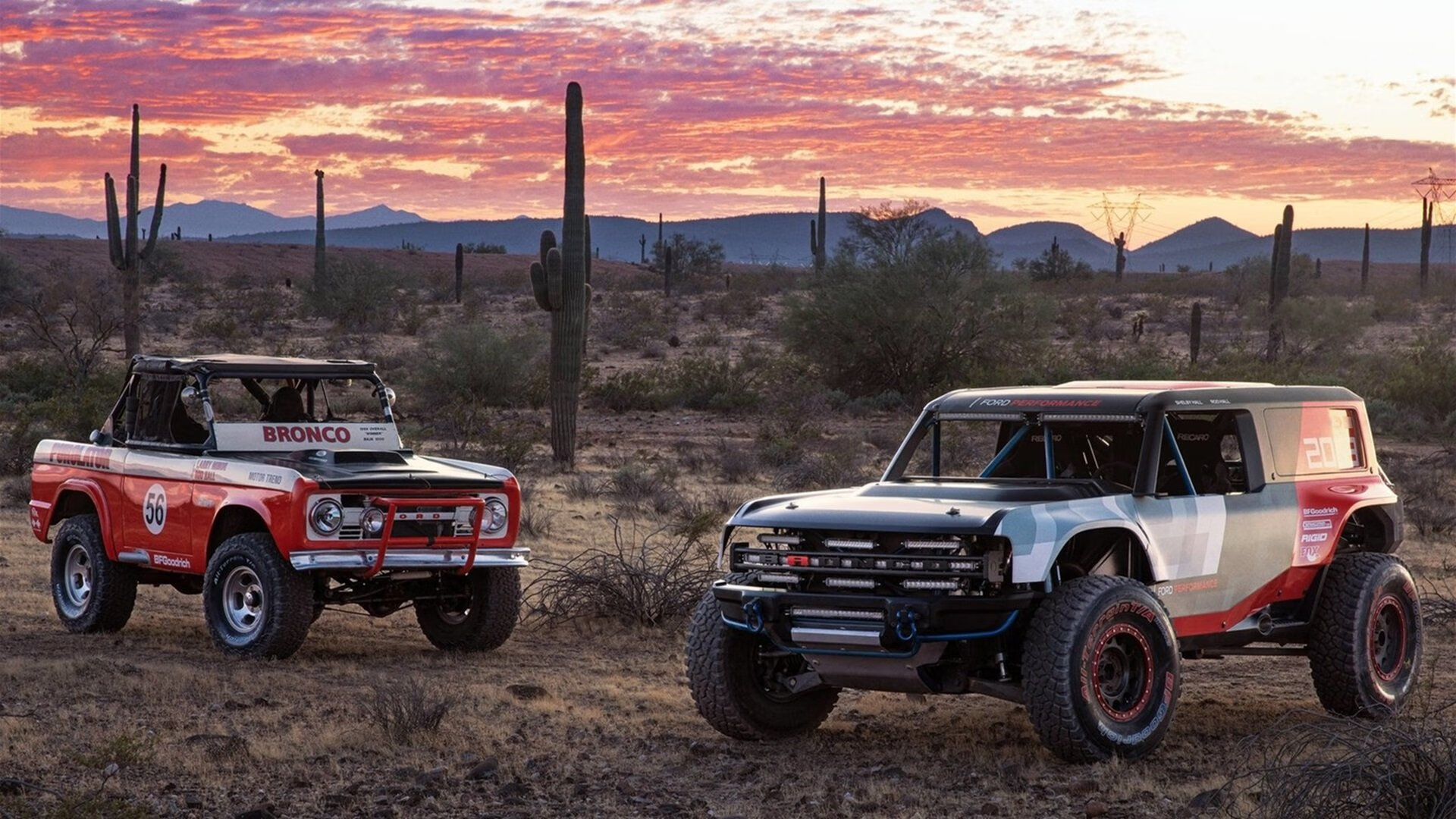 绿茵狂澜，塞内加尔疾风骤雨连击压制雄狮，格列兹曼化身破局关键先生