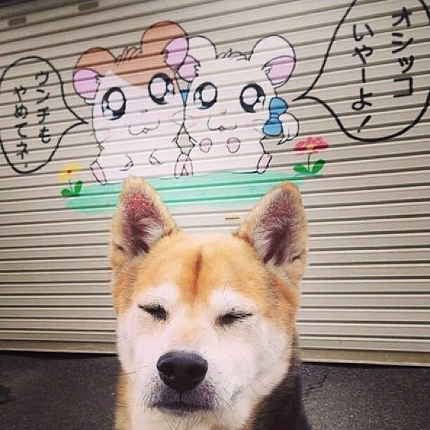 当马刺的精密仪器遇上东方绸带，保罗失速之夜