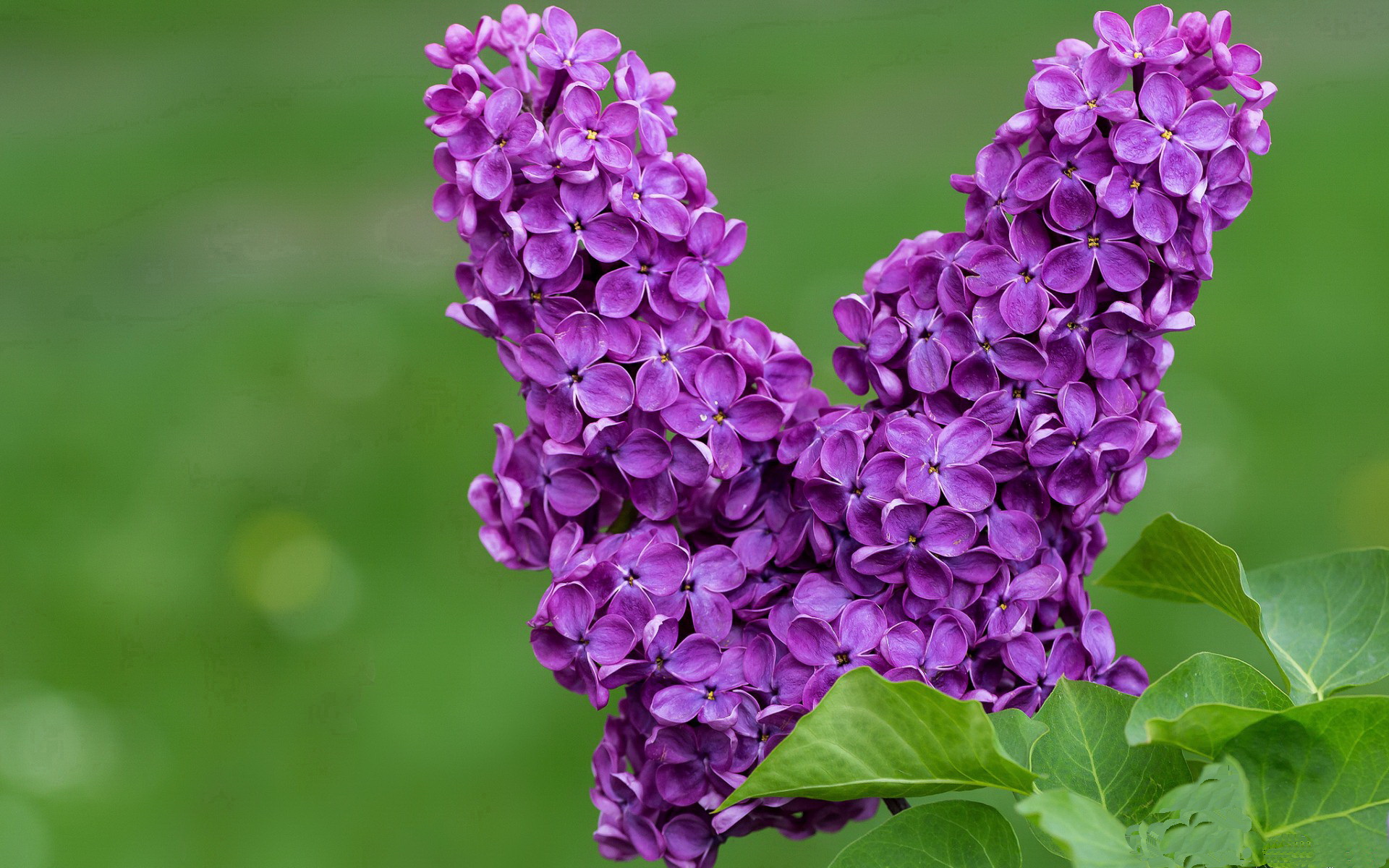 那个夜晚，托尼定义了自己
