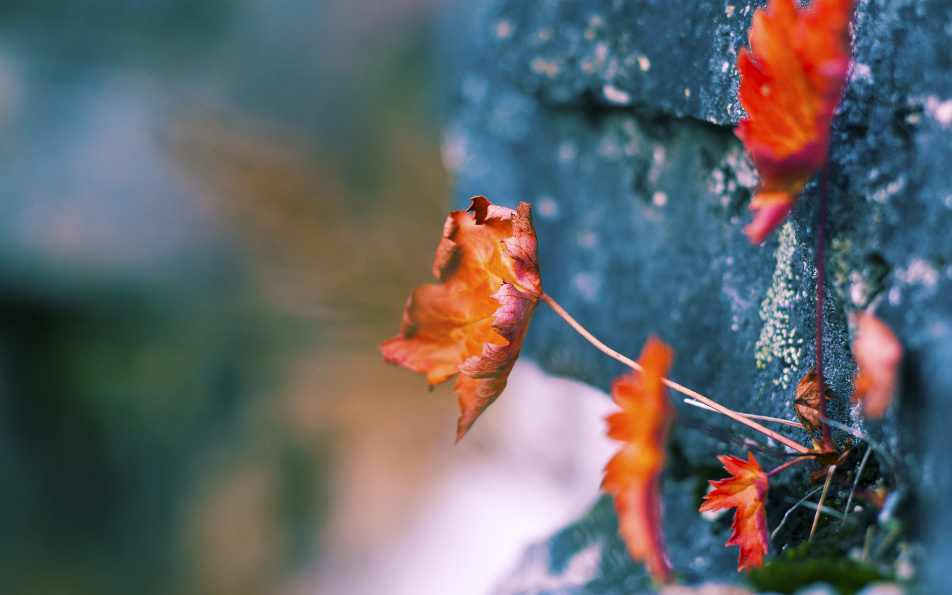 以下是为您撰写的文章，请阅览