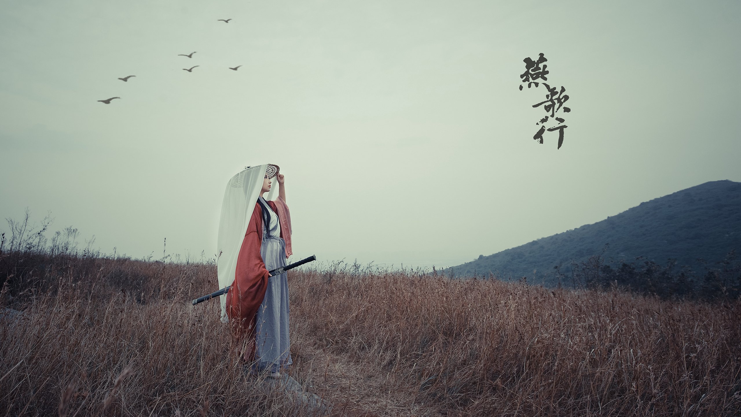 沙漠奇迹，2026世界杯D组焦点战，阿联酋逆转美国，莫德里奇奏响绝唱